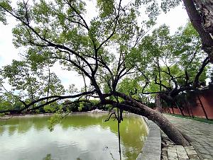 JIUNSHUI TEMPLE DE CONFUCIUS (36)
